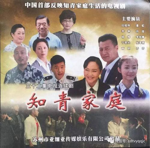知青一家人剧情介绍?(知青家庭剧情介绍)
