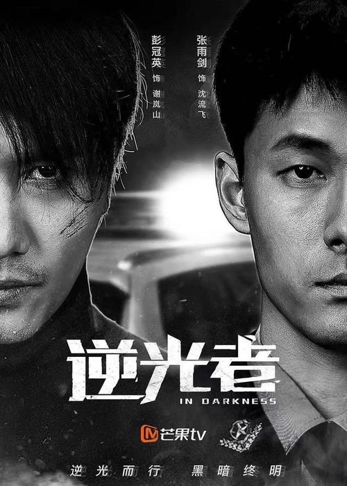 旁门左道电影什么时间上映?(八阵图剧情介绍)