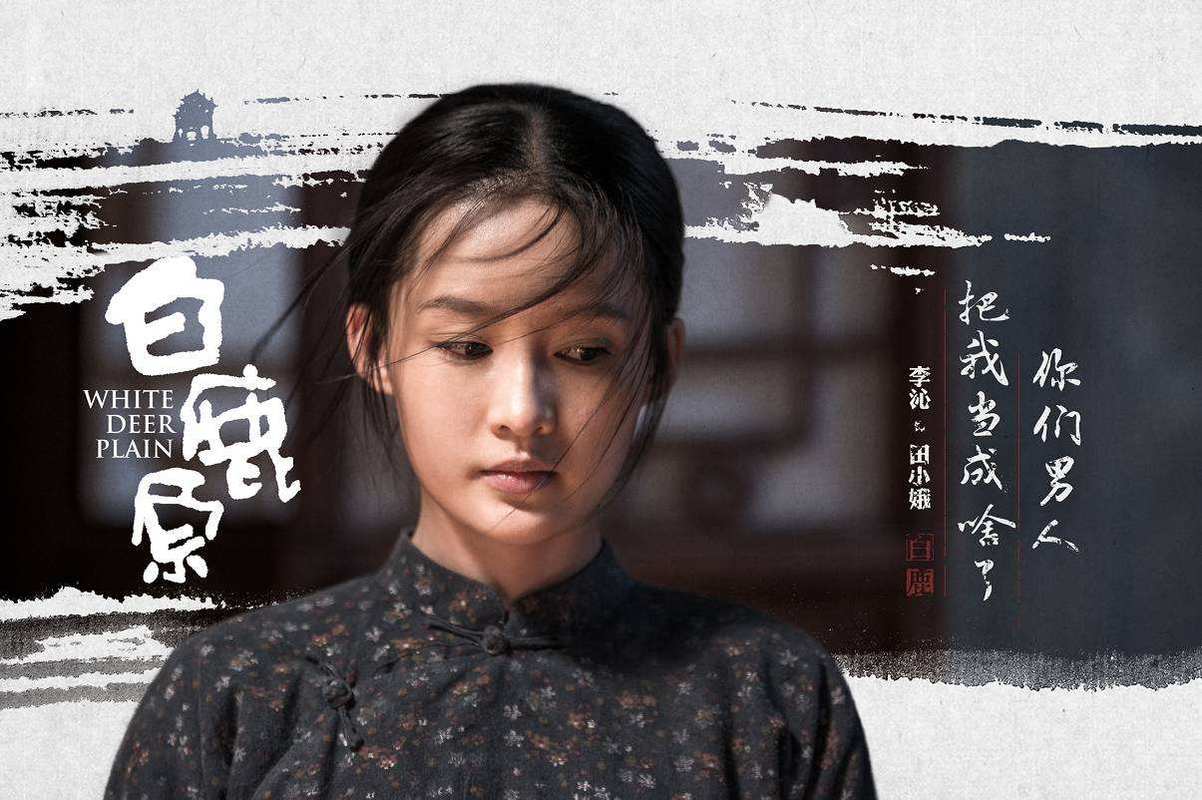 白鹿原剧情介绍详细田小娥？（电视剧白鹿原剧情介绍）