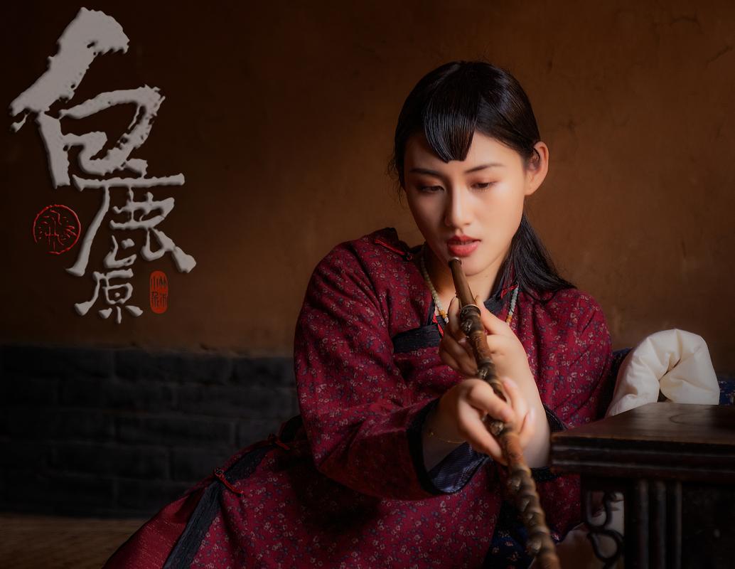 白鹿原剧情介绍详细田小娥?(电视剧白鹿原剧情介绍)