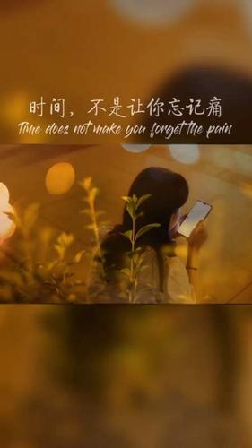 半生风雨半身伤半醒半醉半心凉是什么意思？（剑谍剧情介绍）