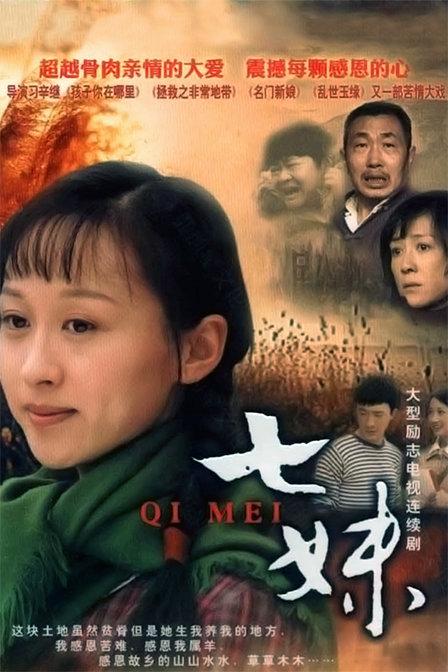 龚新月演了哪些电影?(七妹剧情介绍)