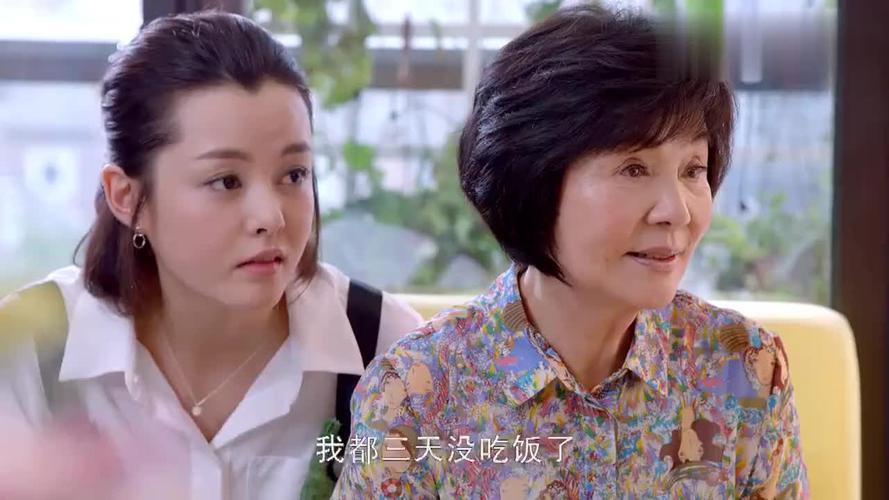 幸福有配方徐丽哥嫂分到家产没有?(幸福有配方剧情介绍)
