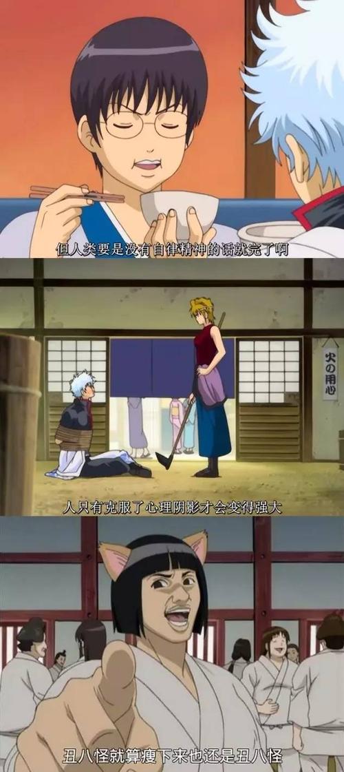 银魂山子戏份多吗?(银婚剧情介绍)
