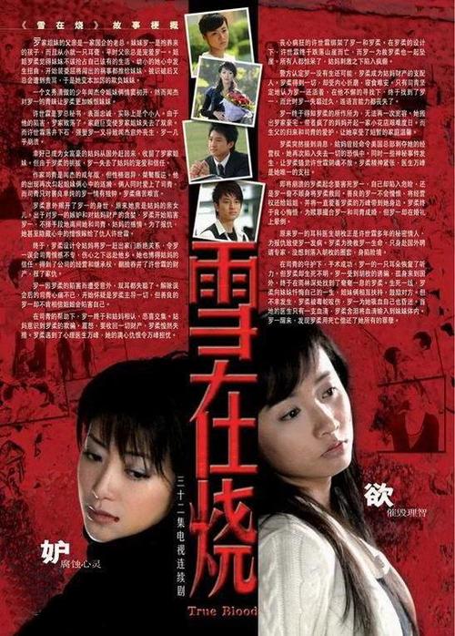 雪在烧全部剧情介绍？（雪在烧剧情介绍）