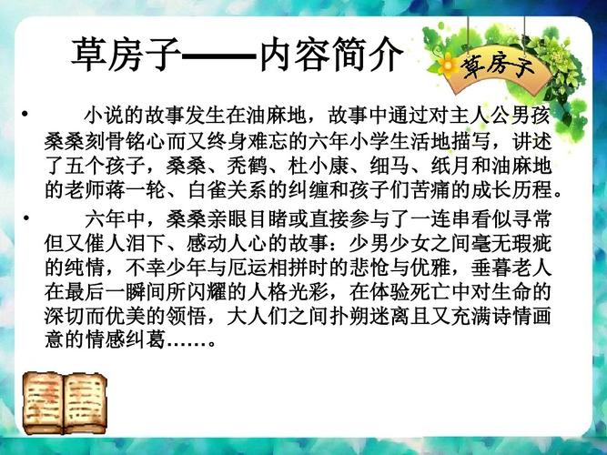 草房子六十页到八十页内容是什么？（房子电视剧剧情介绍）