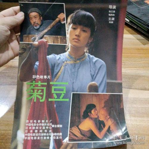 电影《菊豆》讲述的是什么故事？哪里有剧情介绍？（菊豆剧情介绍）