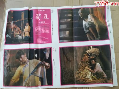 电影《菊豆》讲述的是什么故事?哪里有剧情介绍?(菊豆剧情介绍)