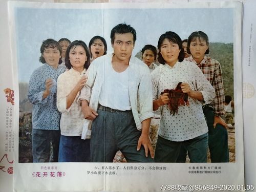 电影花开花落故事概述?(花开花落剧情介绍)