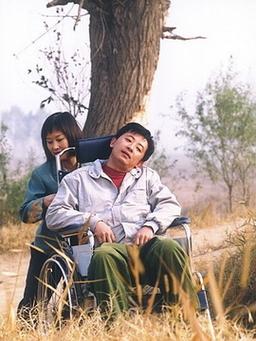 宁波牵手人生美发有多少家店？（牵手人生剧情介绍）