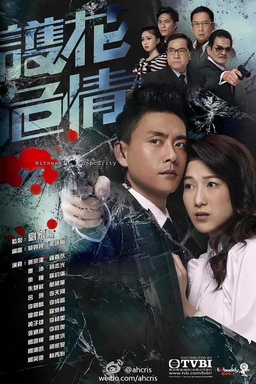 tvb历年收视冠军电视剧？（tvb迷剧情介绍）