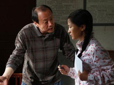 电视剧葵花进城是哪个年代的故事?(葵花进城剧情介绍)