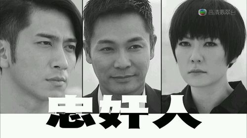 71岁男演员?(忠奸人剧情介绍)