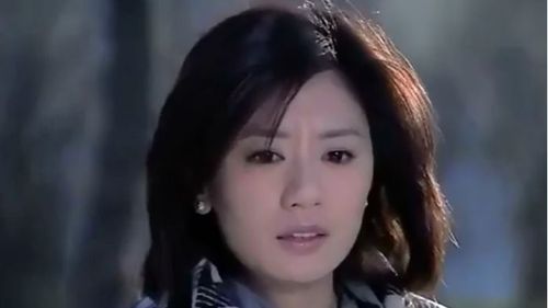 大爱无敌续写最后素云嫁给谁了?(大爱无敌剧情介绍)