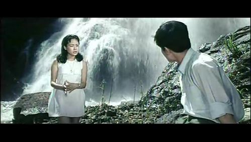 庐山恋大结局解析？（庐山恋剧情介绍）