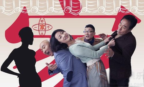好大一个家大结局了?(好大一个家剧情介绍)