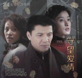 守望的含义是什么?(守望爱情剧情介绍)