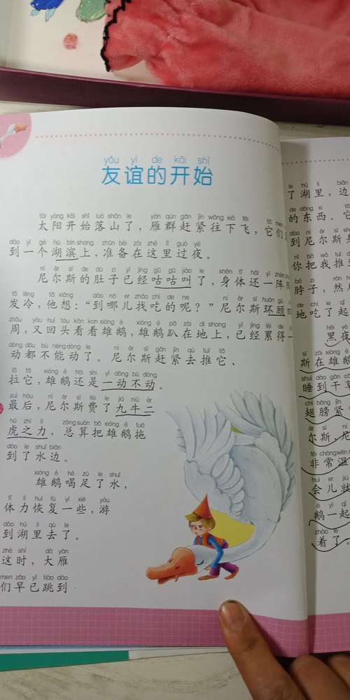 {尼尔斯骑鹅旅行记}中有什么故事?(危险旅程剧情介绍)