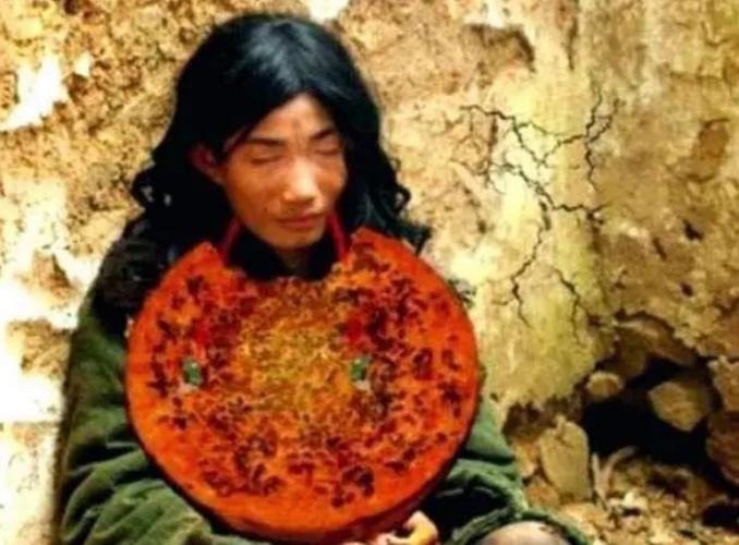 天下第一懒人杨锁是哪的人全集?(天下第一剧情分集介绍)