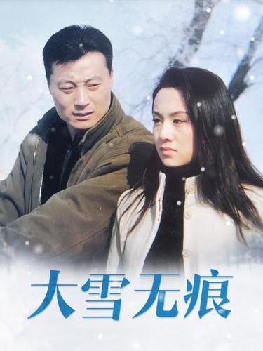 贺卫国市长电视剧叫什么？（大雪无痕剧情介绍）