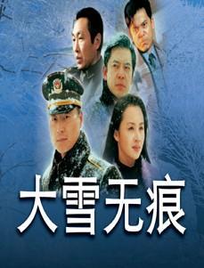贺卫国市长电视剧叫什么?(大雪无痕剧情介绍)