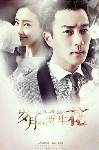 两生花剧情介绍沈洛?(电视剧两生花剧情介绍)