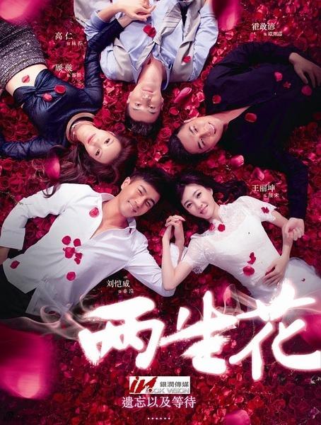 两生花剧情介绍沈洛?(电视剧两生花剧情介绍)