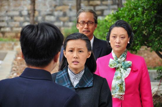 虎胆威城一共多少集?(望海的女人剧情介绍)