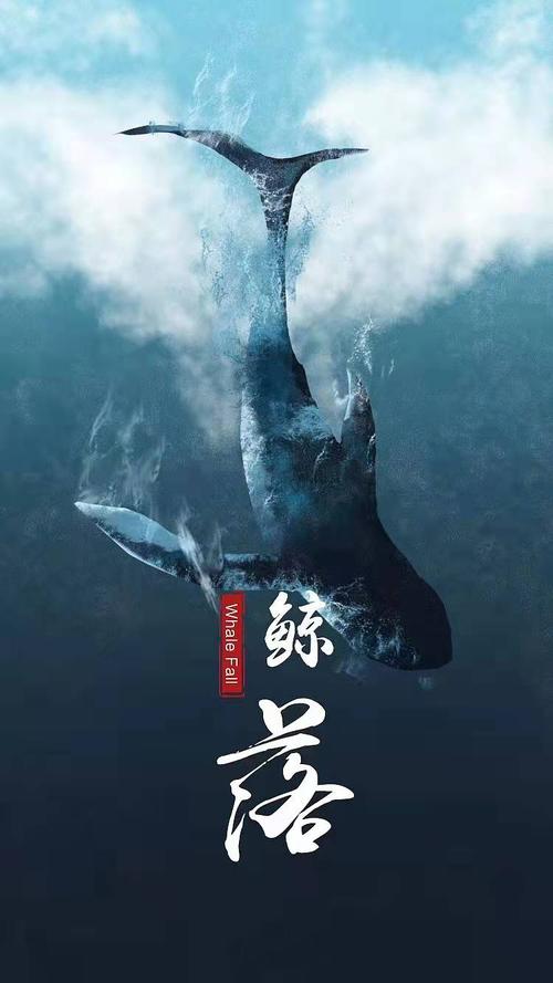 一鲸落万物生一念山河成一念百草生表达了什么?(万物生长剧情介绍)