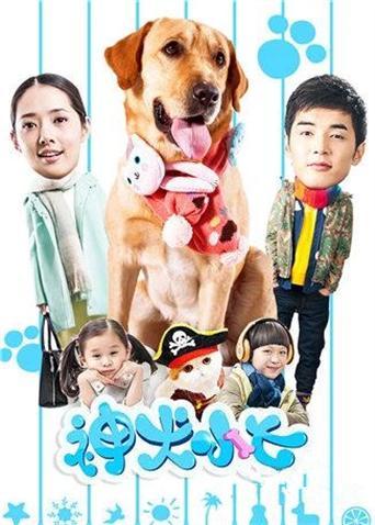 神犬小七片酬多少？（神犬小七剧情分集介绍）