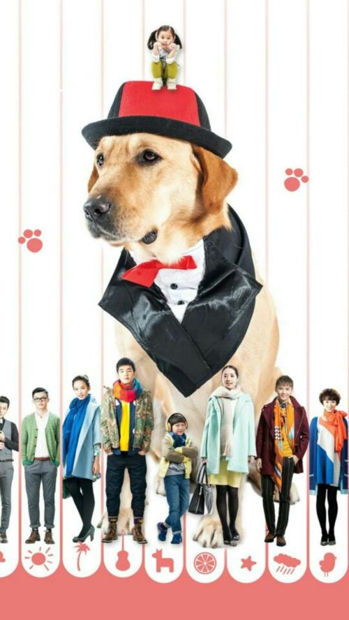 神犬小七片酬多少?(神犬小七剧情分集介绍)