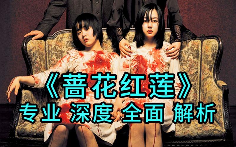 蔷花红莲结局什么意思?(蔷花红莲剧情介绍)