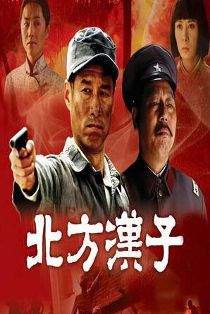 为什么叫北方汉子不是南方汉子？（北方汉子剧情介绍）