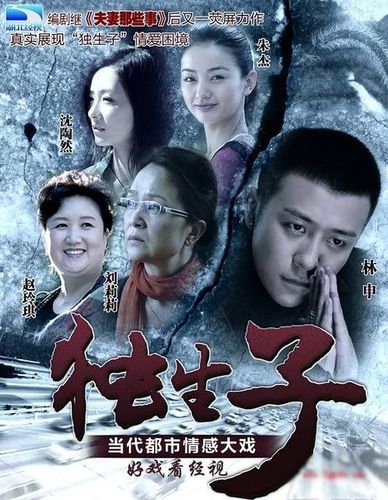 乱世玫瑰剧情介绍?(独生子剧情分集介绍)