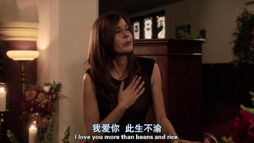 绝望主妇第八季加布大结局？（绝望主妇第五季剧情介绍）