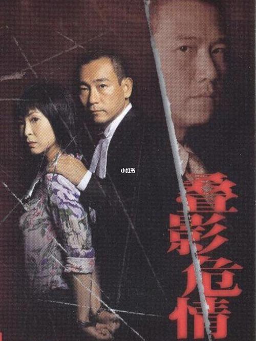 香港的悬疑侦探破案电视剧有哪些好看?(叠影危情剧情介绍)