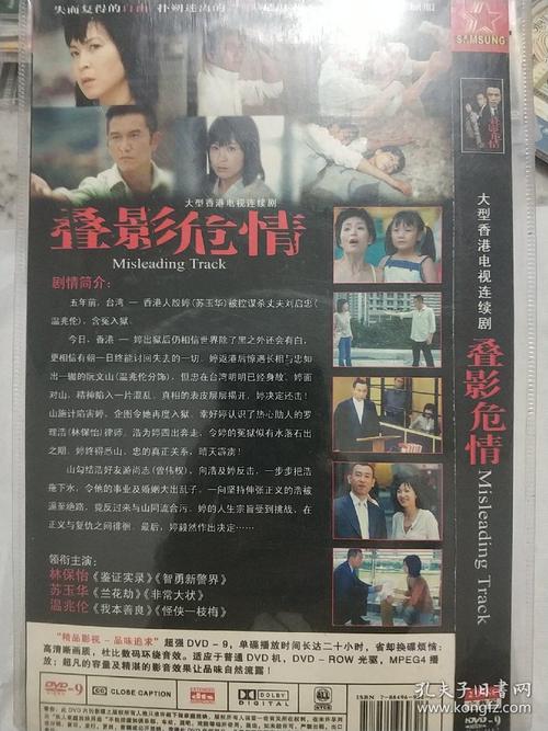 香港的悬疑侦探破案电视剧有哪些好看?(叠影危情剧情介绍)