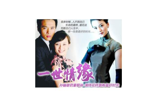 一世情缘多少集？（一世情缘剧情介绍）