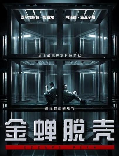 金蝉脱壳剧情详细解析?(金蝉脱壳详细剧情介绍)