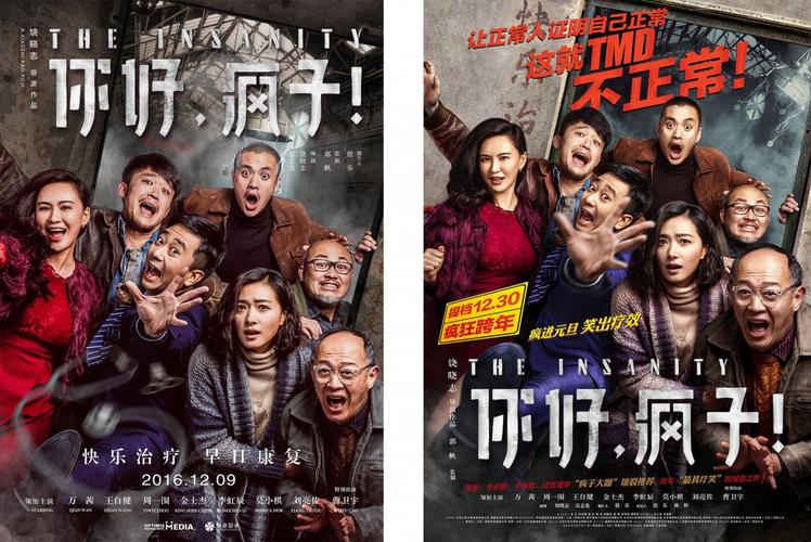 2017年元旦电影?(你好疯子剧情介绍)