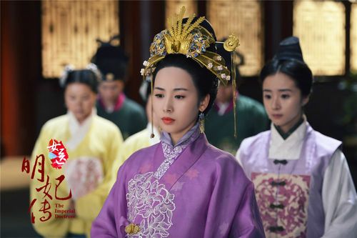 女医明妃传要讲述什么呢?(女医明妃传剧情分集介绍)