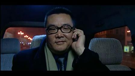 张嘉译主演的谍报电视剧全部?(反黑使命剧情介绍)