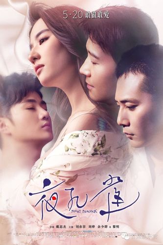 夜孔雀中怀的孩子是谁的?(夜孔雀剧情介绍)