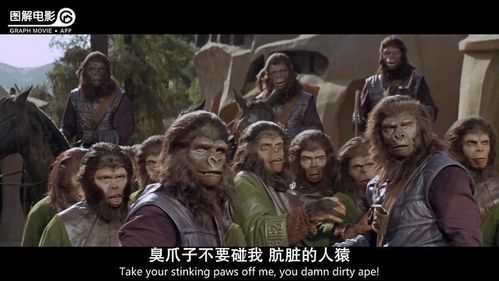 《人猿星球》最后结局到底是什么意思?(人猿星球剧情介绍)