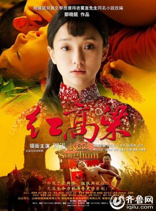 讲解一下电视剧红高粱剧情?(红高梁分集剧情介绍)