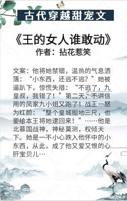 求一本穿越小说书名好像叫《……：王的女人》，女主是穿越而来的，女扮男装，做了一个军师（大概）？（电视剧王的女人剧情介绍）