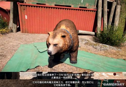 孤岛惊魂5起司汉堡摇头娃娃位置?(娃娃惊魂剧情介绍)