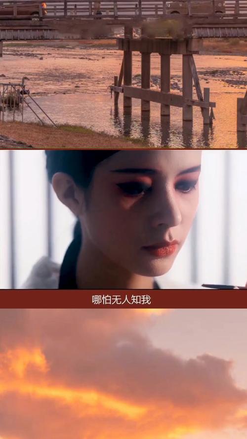 乱世浮萍什么意思?(乱世浮萍剧情介绍)