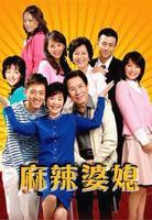 麻辣婆媳是什么时候拍的?(麻辣婆媳剧情分集介绍)