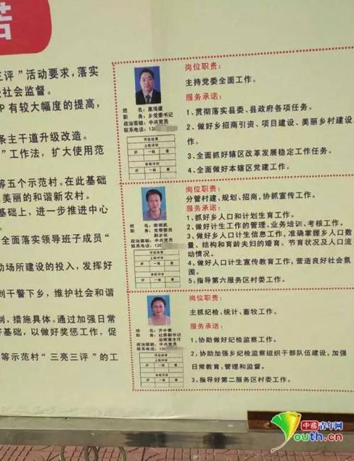 国网三亮三创三新三评具体内容是什么?(公安局长3剧情介绍)